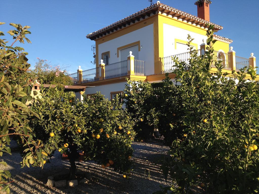 Alojamiento Colina Del Sol Torrox Esterno foto